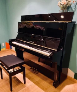 YAMAHA U2G