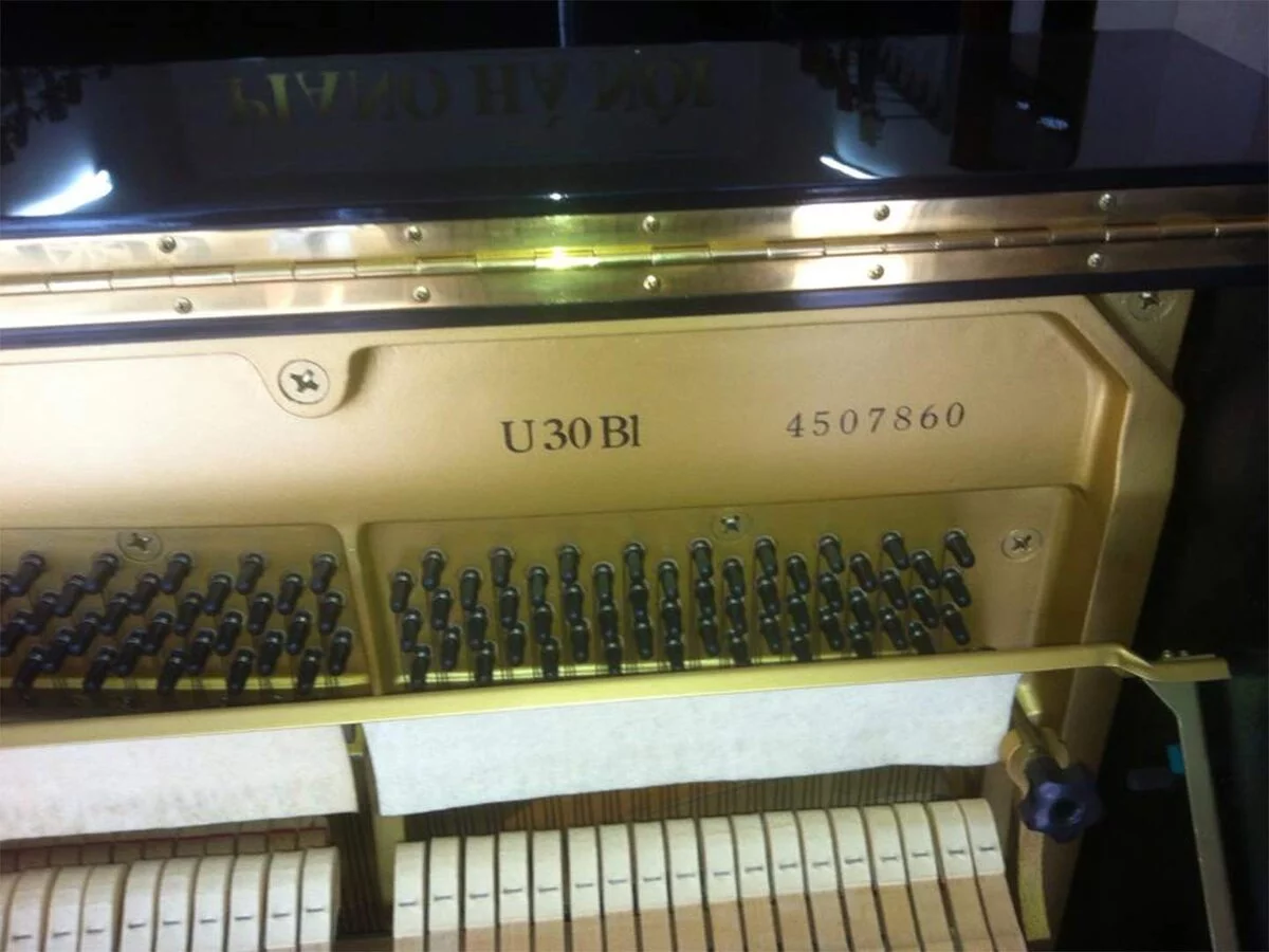 YAMAHA U30BL Disk Player - Nah Music