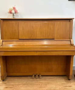 YAMAHA W101 Wn