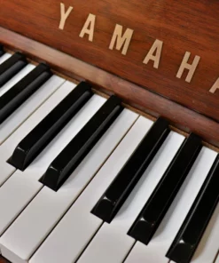 YAMAHA W201B