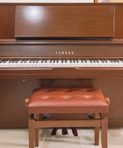 YAMAHA WX1A Wn