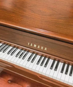 YAMAHA WX1A Wn