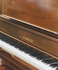 YAMAHA WX1A Wn