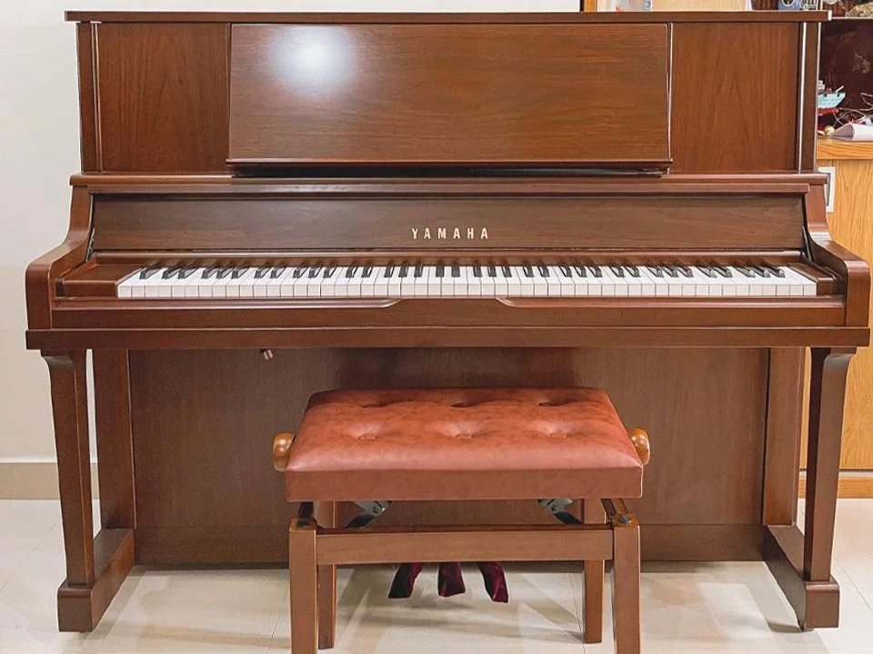 YAMAHA WX1A Wn