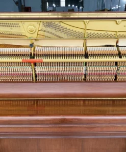 YAMAHA WX5A WnC