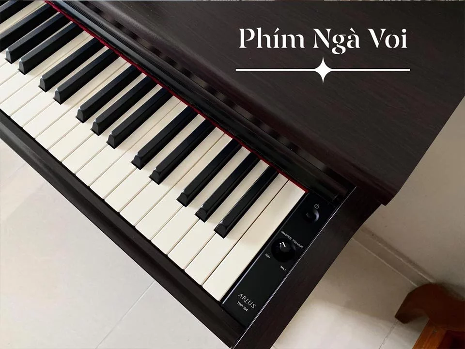 YAMAHA YDP-164 R (USED) – Mặt sau và hệ thống dây đàn Yamaha