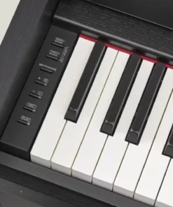 YAMAHA YDP-S54 B (USED)