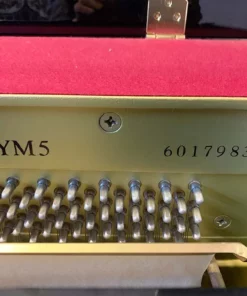 YAMAHA YM5