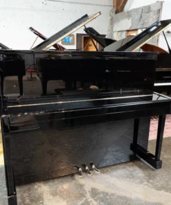 YAMAHA YM5