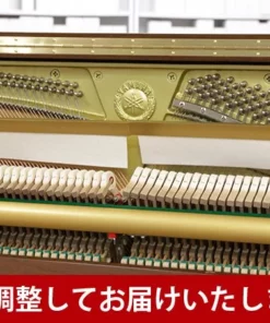 YAMAHA YU10 WnC