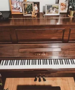 YAMAHA YU3 WN