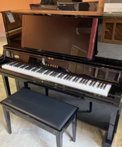 YAMAHA YU5 Wn