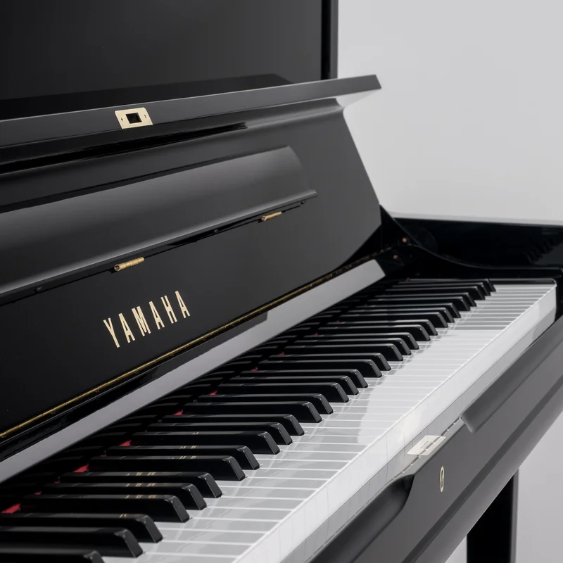 YAMAHA YUS1 AW - Nah Music