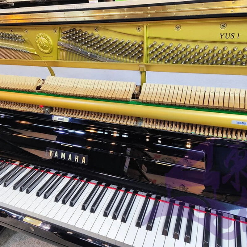 YAMAHA YUS1 PE - Nah Music