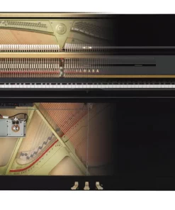 YAMAHA YUS1 TA2 TRANSACOUSTIC™
